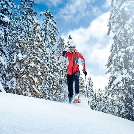 Domek alpejski Near Slopes Alpendorf (Salzburg)